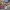 One set photo 2