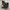 Converse Chuck Taylor All Star With Platform 'Zebra' photo 3