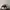 NIKE AIR JORDAN RAIZE BLUE MID  photo 3