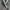 White Perforated Leather Belt photo 2