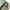 MUSINSA STANDARD Vintage Streetwear Casual pants Pria green photo 5