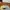 Topi Vintage Dad Hat Wooden Boat Festival photo 5