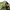 Japanese brand Vintage Streetwear Casual pants Pria green photo 6