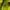 EIDER Windbreaker Hoodie Jaket Second Brand  photo 4