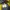 EIDER Windbreaker Hoodie Jaket Second Brand  photo 6