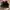 Gucci sukey vintage kanvas mix leather photo 6