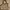 Gucci sukey vintage kanvas mix leather photo 7