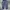 Celana Baggy Retro Barrel Jeans Gombrong ORDER ARCHIVE photo 2