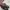 VANS Streetwear Skater Sneakers Pria white black photo 5