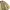 Crocodile Vintage Harrington jacket Pria khaki photo 5