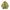 Crocodile Vintage Harrington jacket Pria khaki photo 4