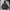 Veterano polar jacket  photo 5