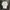 Umbro Streetwear Casual Polo shirt Pria white photo 1
