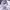 Polo Ralph Lauren Casual Formal shirt Pria purple white photo 4