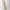 Harley Davidson Streetwear Casual Casual pants Pria multicolor photo 4