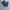Avirex Y2K Casual Casual pants Pria multicolor photo 1
