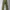 Margaret Howell Y2K Casual Casual pants Pria multicolor photo 3