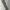 Margaret Howell Y2K Casual Casual pants Pria multicolor photo 4