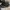 Converse Sportswear Casual Sneakers Pria black photo 6
