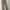 Uniqlo Y2K Casual Casual pants Pria multicolor photo 4