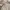 Uniqlo Y2K Casual Casual pants Pria multicolor photo 6