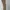 Uniqlo Y2K Casual Casual pants Pria multicolor photo 2