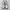NIKE TN photo 2