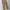 GAP Y2K Casual Casual pants Pria multicolor photo 4