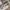 Nike Shox Winbreaker photo 4