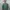 Crewneck Brick Woshing Green Backprint photo 6
