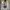 Vintage Luxury Cami top Wanita gray photo 3