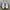 Adidas Superstar (second original) photo 2