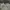 Harley-Davidson Desert Camo Long Sleeve photo 4