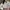 Casual Sweater Wanita white photo 1