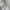 Russell Athletic Vintage Y2K Hoody Pria gray photo 4
