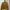 Sweater Uniqlo Mustard