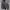 Puma Streetwear Sportswear Windbreaker Pria black photo 7