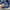 Reebok Streetwear Sportswear Windbreaker Pria navy photo 6