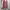 Polo Ralph Lauren Casual Sweater Wanita Pink