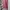 Polo Ralph Lauren Casual Sweater Wanita pink photo 3