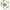 Parfume Project 1945 (BAMBOE ROENCING EXT 100ML)
