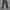 Hush Puppies Y2K Skater Casual pants Pria gray photo 1