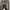 ZARA Biker Jeans Pria black photo 4