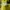 A bathing ape x 24 hour television photo 6