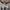 Kaos Longsleeve Raglan Flutters Atasan Lengan Panjang Unisex photo 3