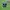 Puma Finesse Astro Turf football boots photo 5