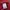 New Balance Casual Puffer jacket Pria red photo 4
