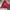 New Balance Casual Puffer jacket Pria red photo 1