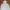 GAP Cosplay Hoody Pria White
