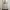 Brown Polkadot Milkmaid Dress Princess Coquette Lolita photo 7